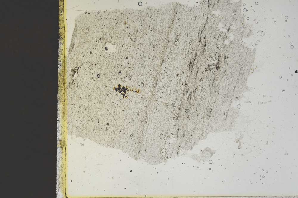Plane Polarized, S52454