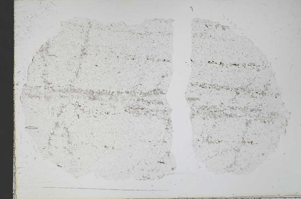 Plane Polarized, S52485