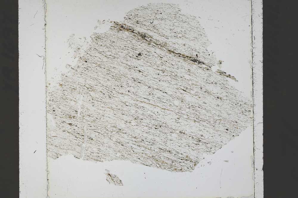 Plane Polarized, S52493