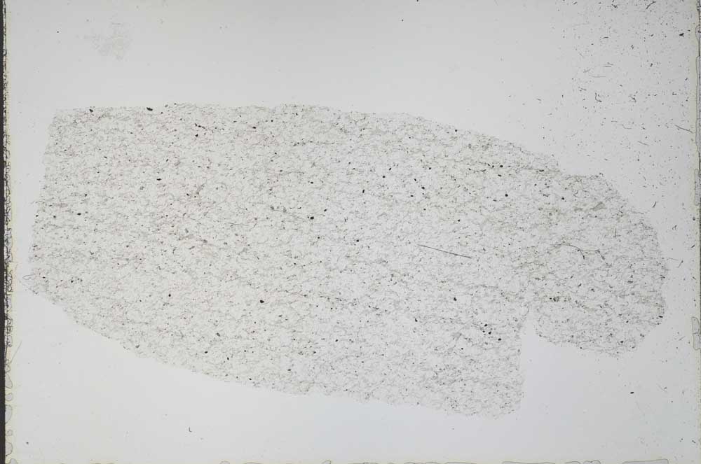 Plane Polarized, S52506