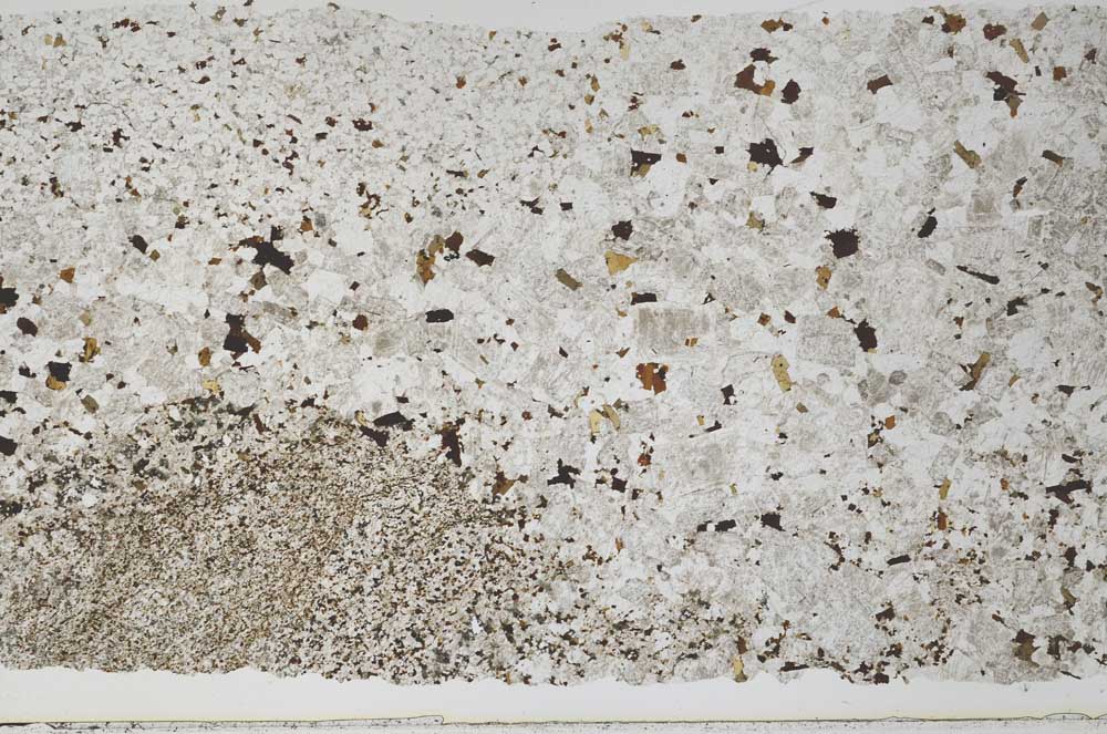 Plane Polarized, S52533