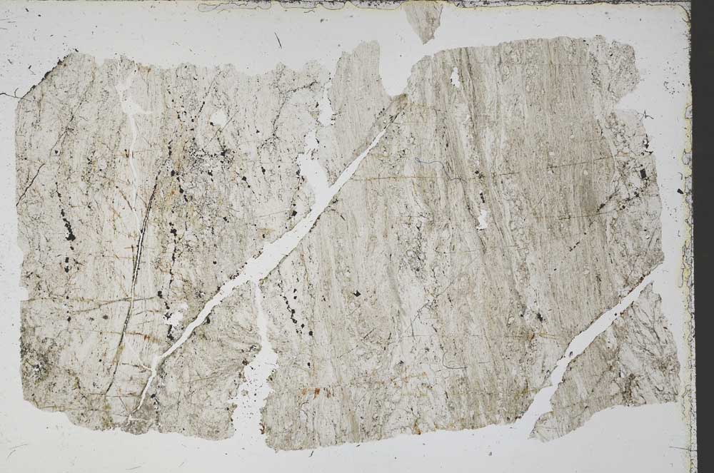 Plane Polarized, S52544