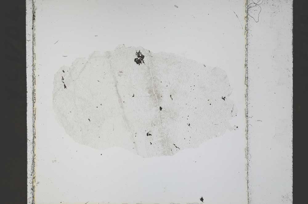 Plane Polarized, S52545