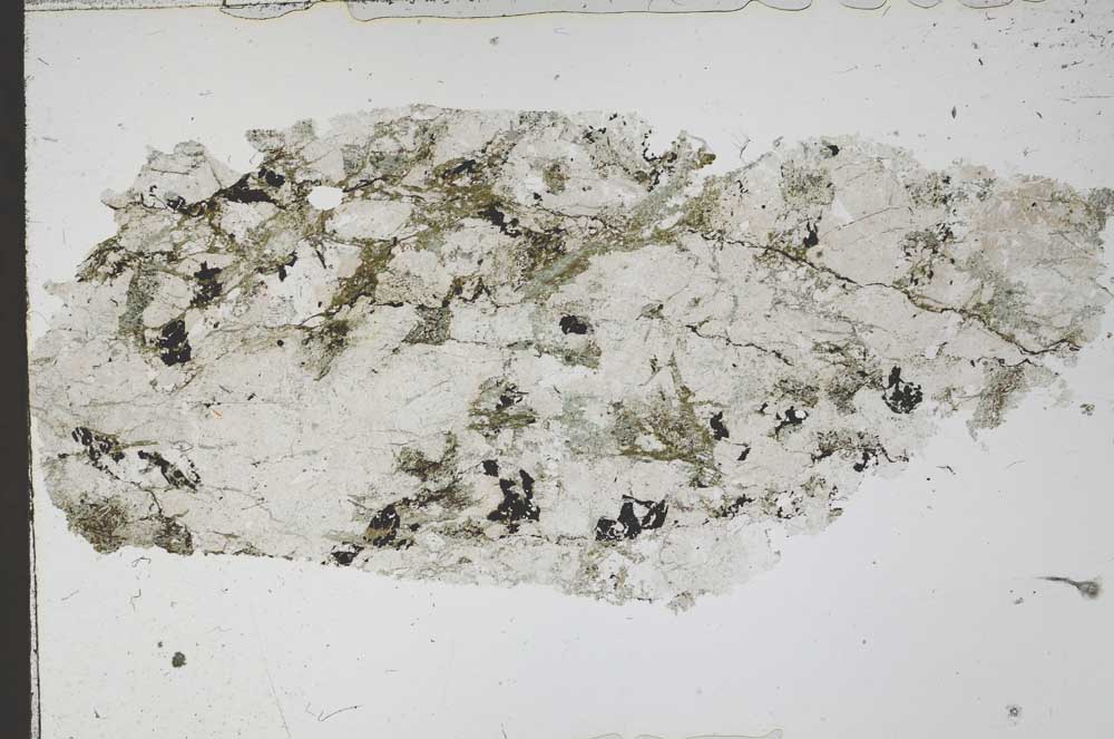 Plane Polarized, S52553