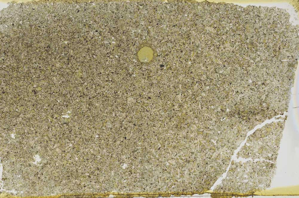Plane Polarized, S52582