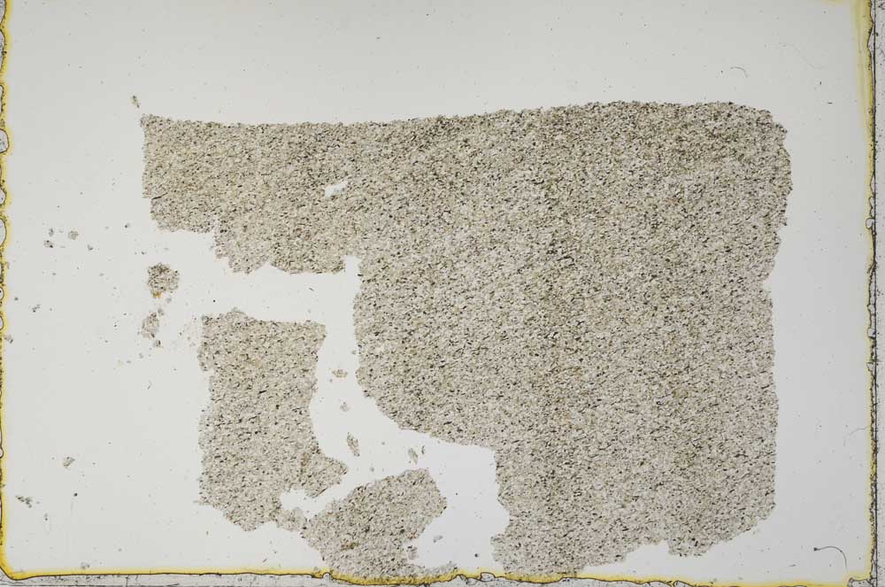 Plane Polarized, S52584