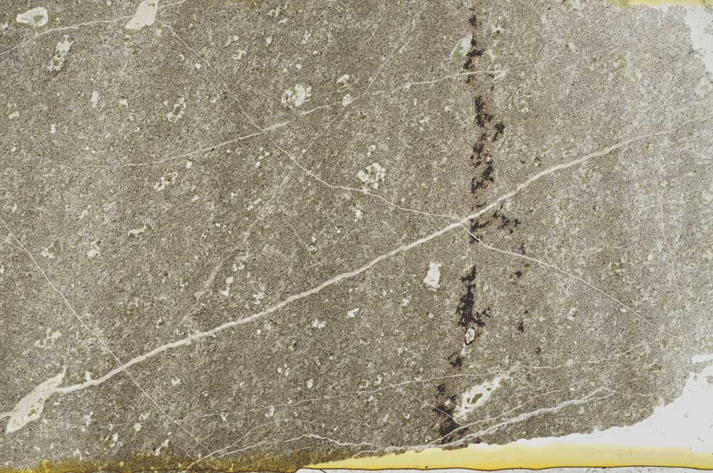 Plane Polarized, S52594