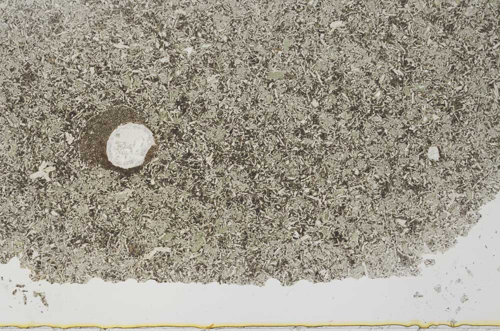 Plane Polarized, S52601