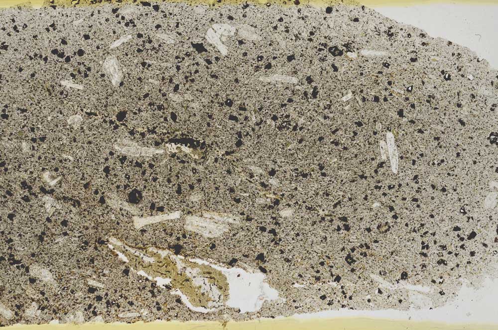 Plane Polarized, S52605