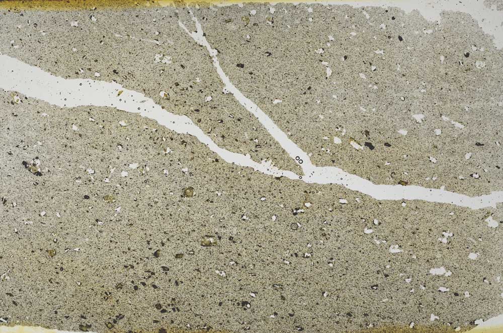 Plane Polarized, S52606