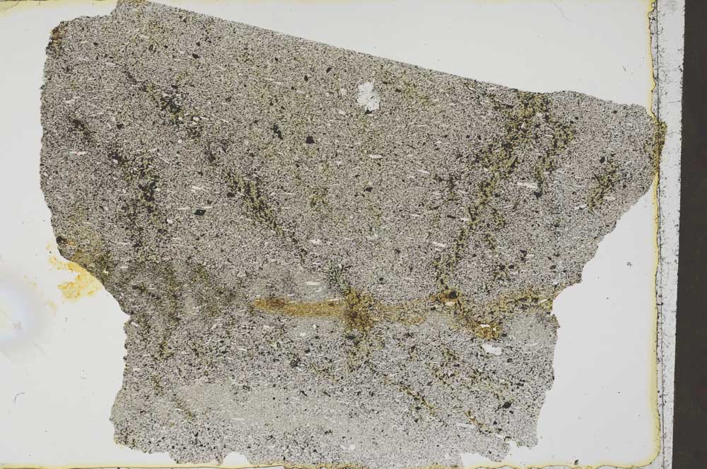 Plane Polarized, S52618