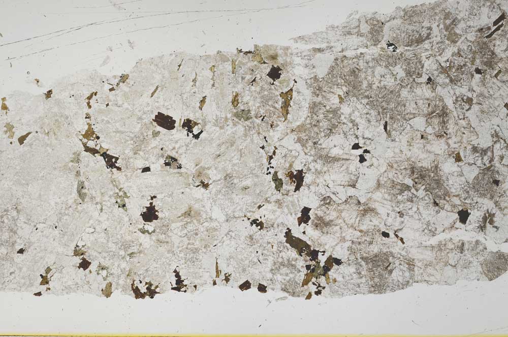 Plane Polarized, S52636