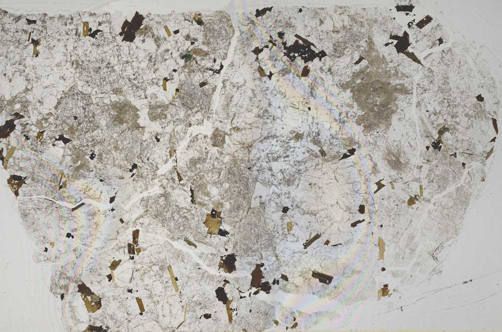 Plane Polarized, S52638