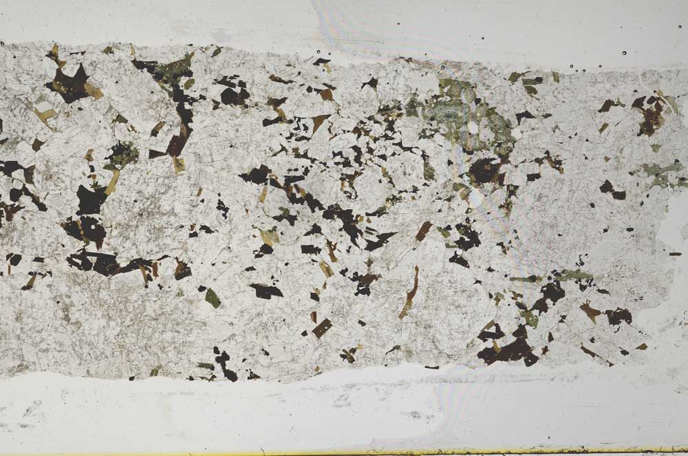 Plane Polarized, S52642