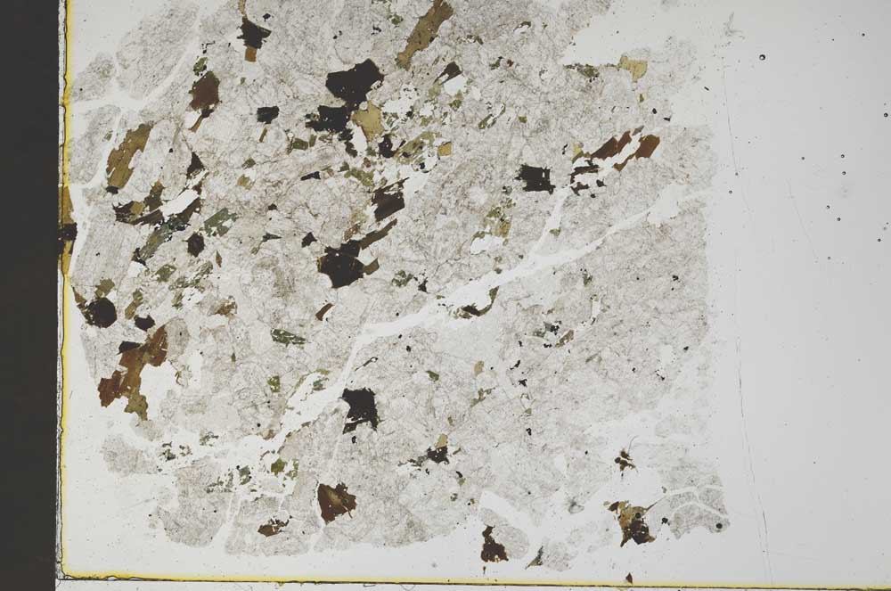 Plane Polarized, S52647