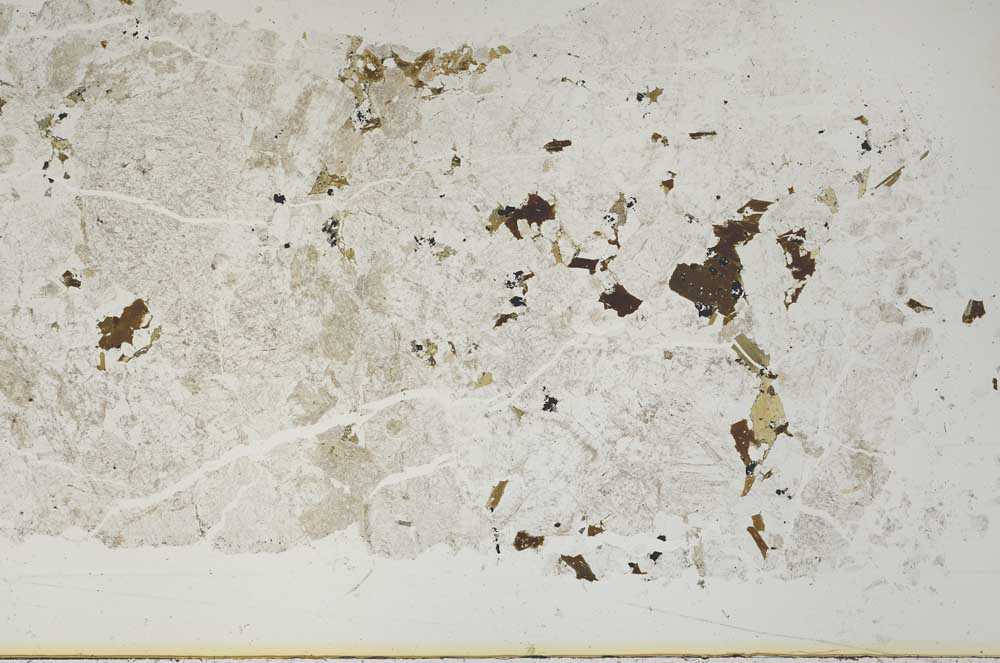 Plane Polarized, S52661
