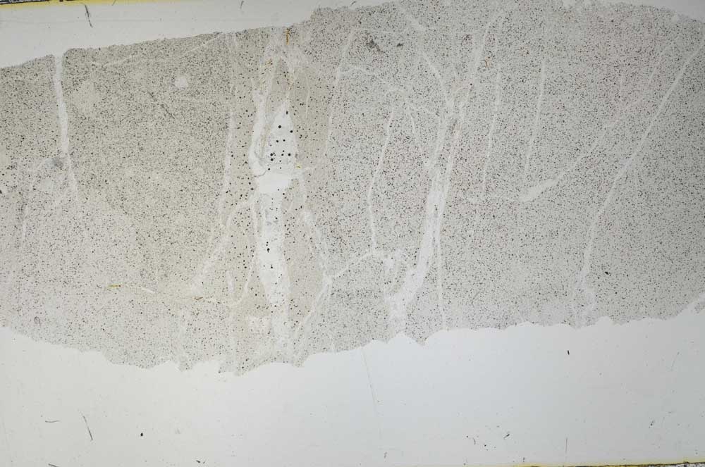 Plane Polarized, S52713