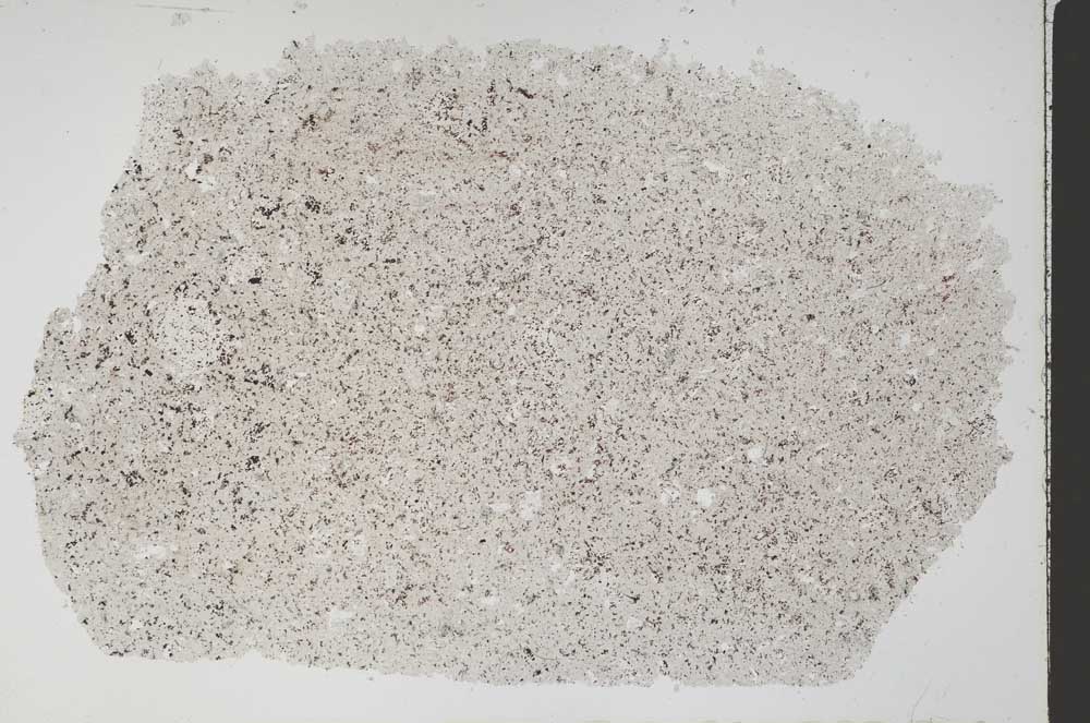 Plane Polarized, S52715