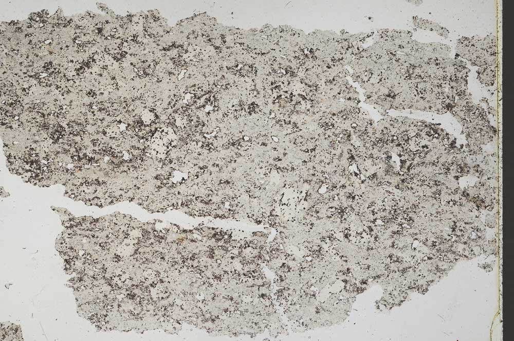 Plane Polarized, S52717