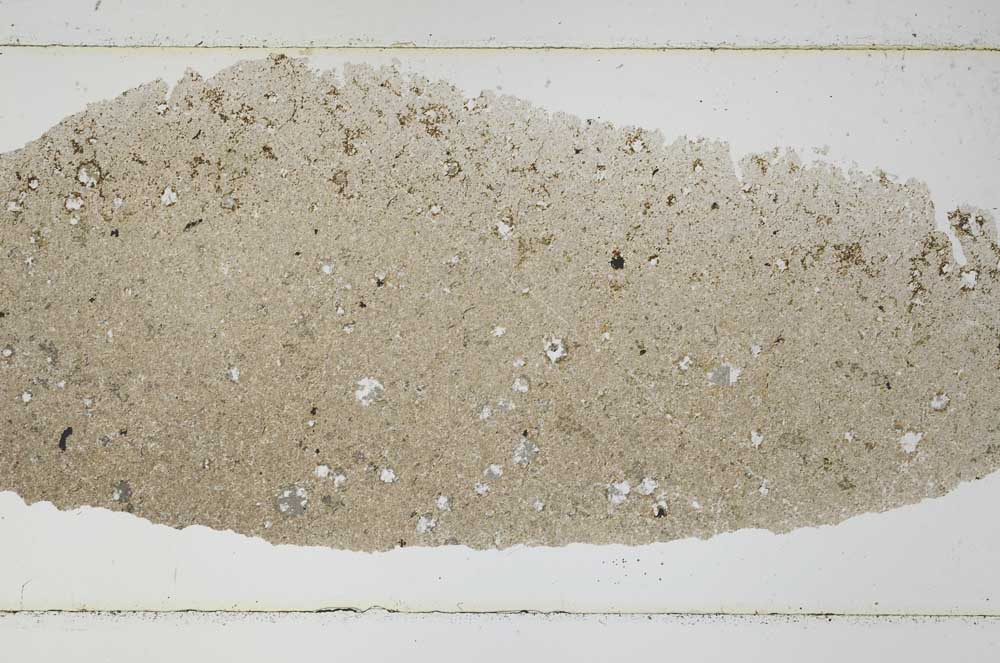 Plane Polarized, S52720