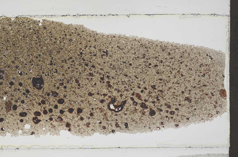 Plane Polarized, S52778