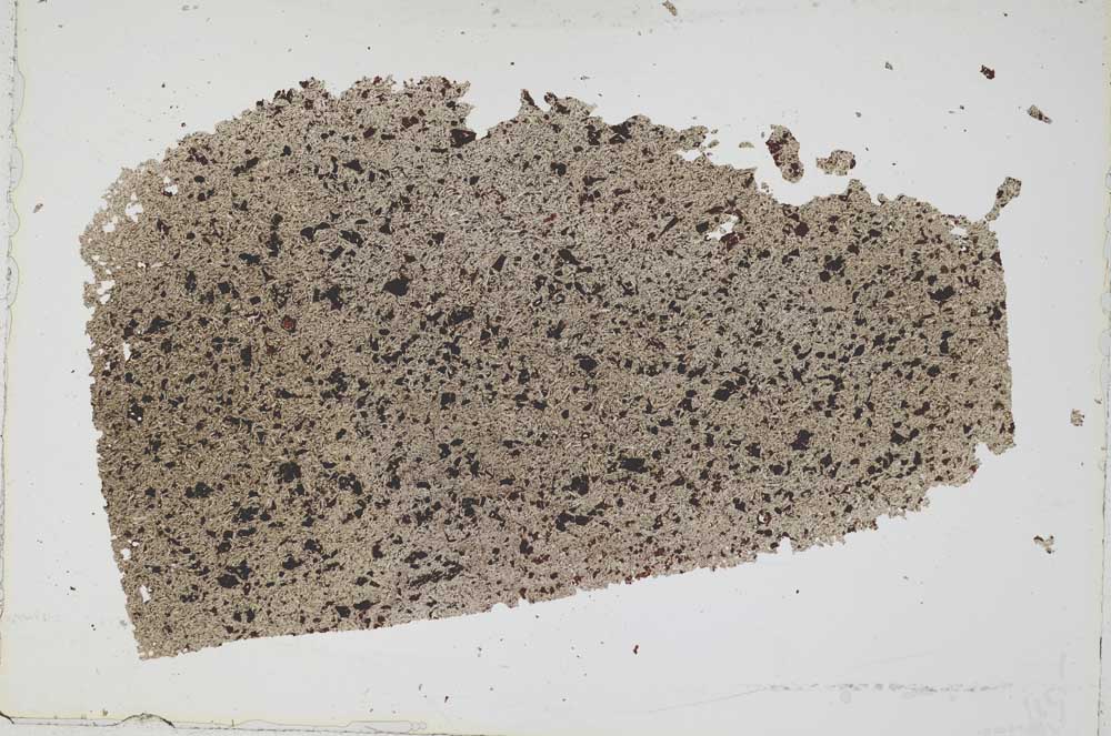 Plane Polarized, S52781