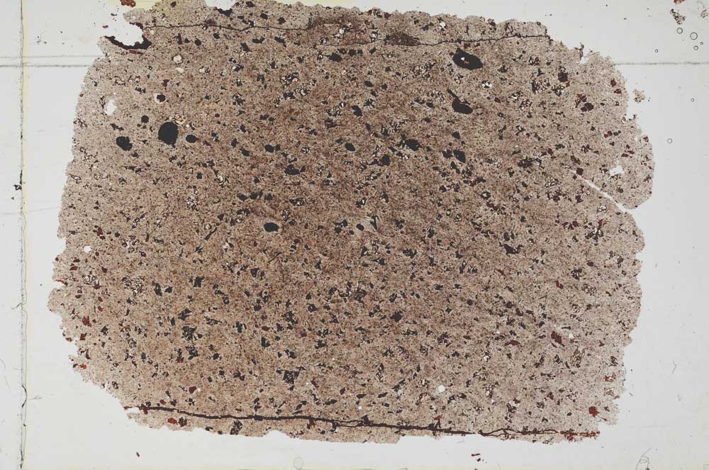 Plane Polarized, S52782