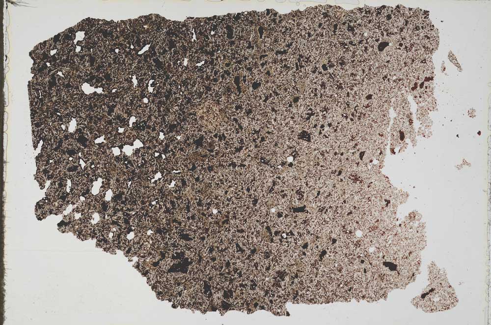 Plane Polarized, S52783