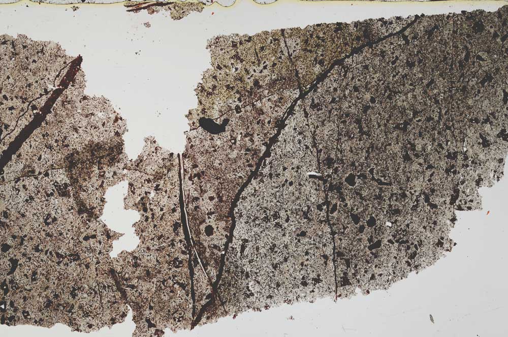 Plane Polarized, S52784