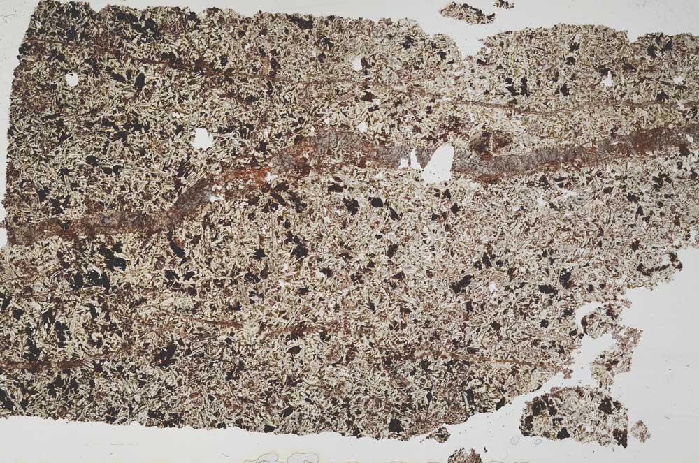 Plane Polarized, S52790