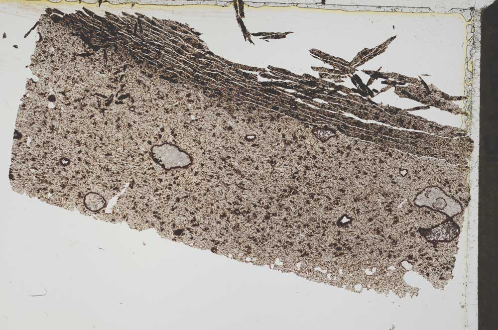 Plane Polarized, S52792