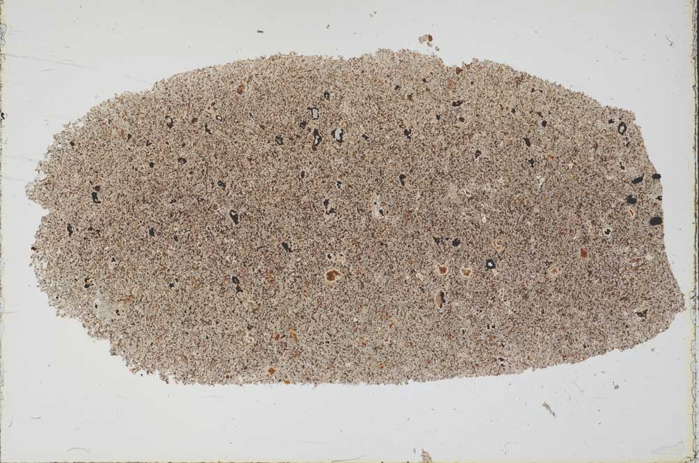 Plane Polarized, S52793