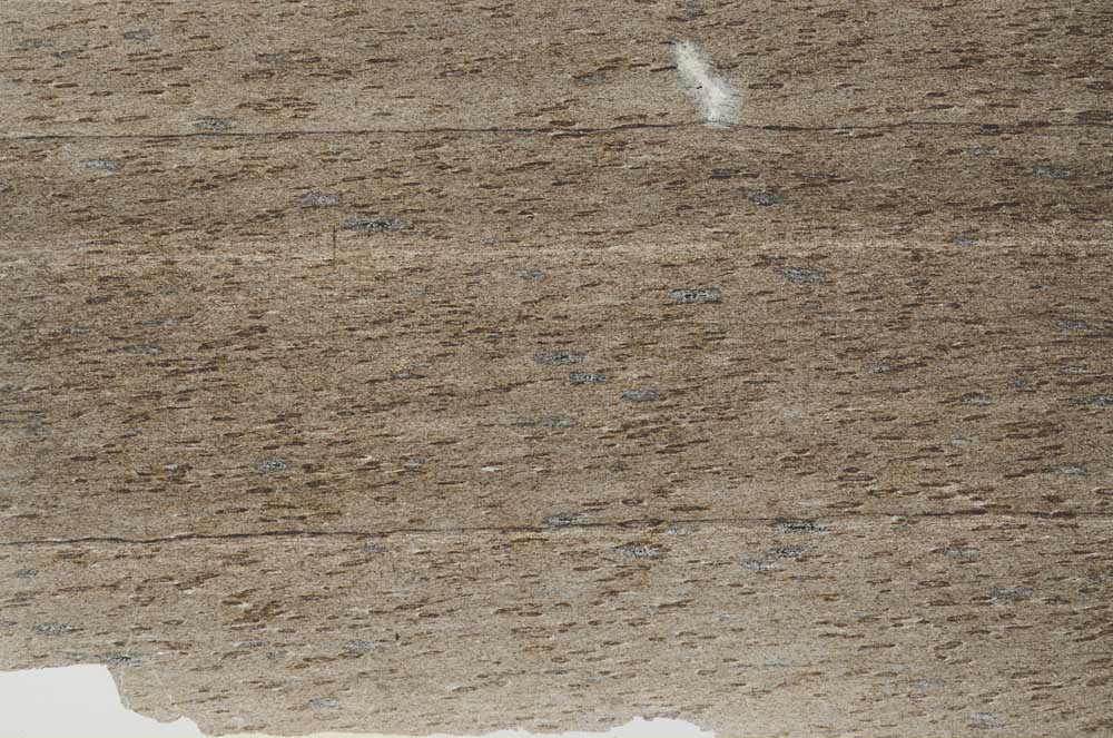 Plane Polarized, S52887