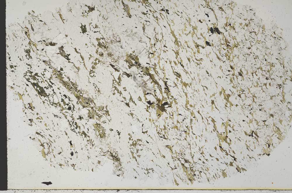 Plane Polarized, S52989