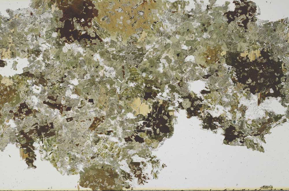 Plane Polarized, S53018