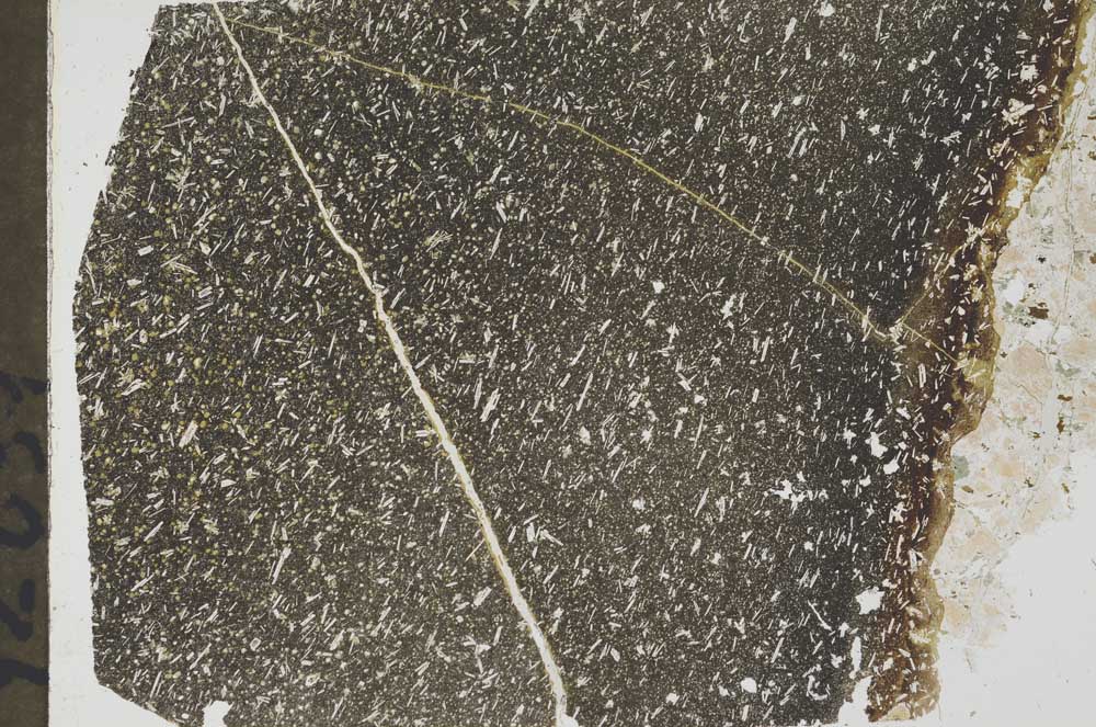 Plane Polarized, S53051
