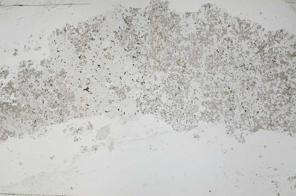 Plane Polarized, S53077