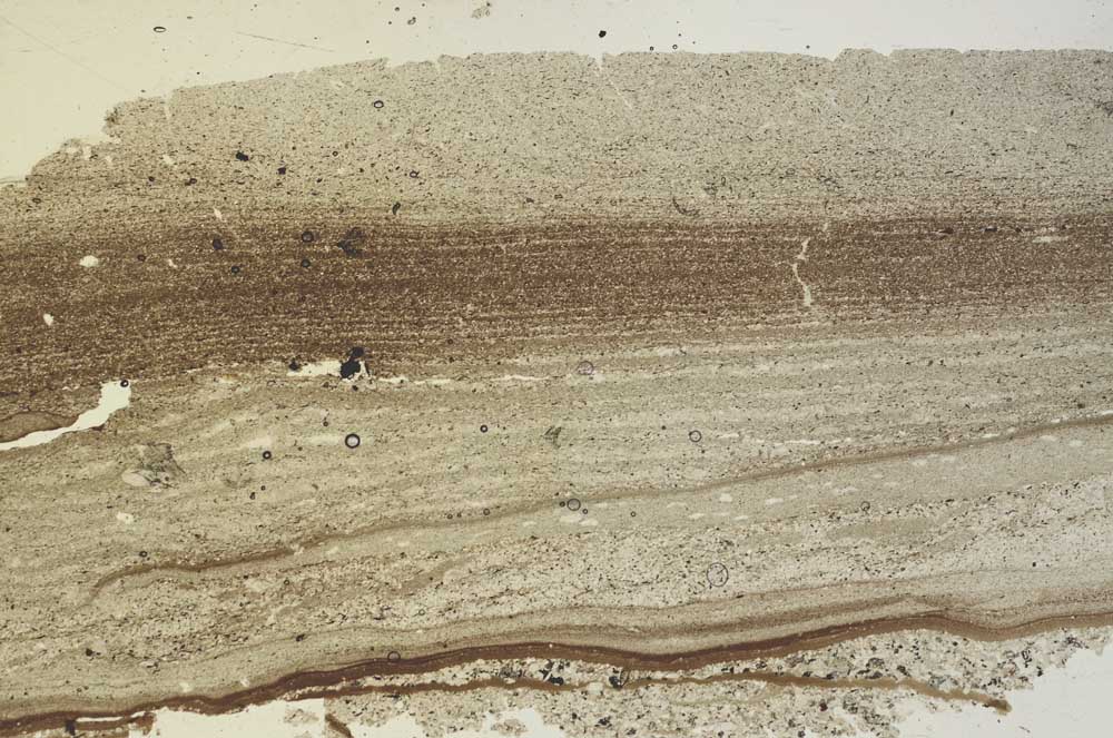 Plane Polarized, S53089