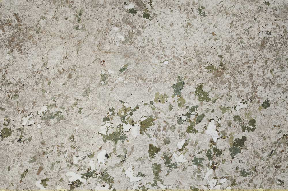 Plane Polarized, S53096