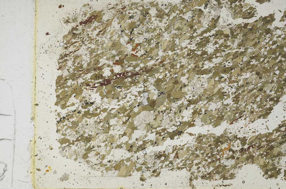 Plane Polarized, S53149
