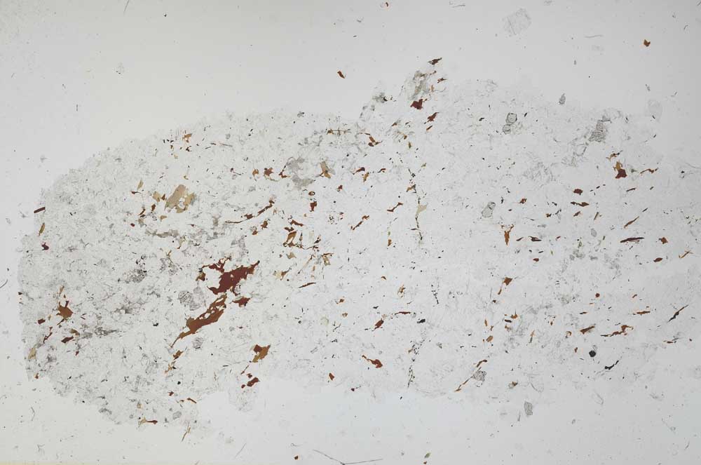 Plane Polarized, S53153