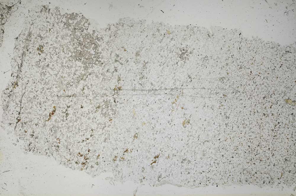 Plane Polarized, S53157