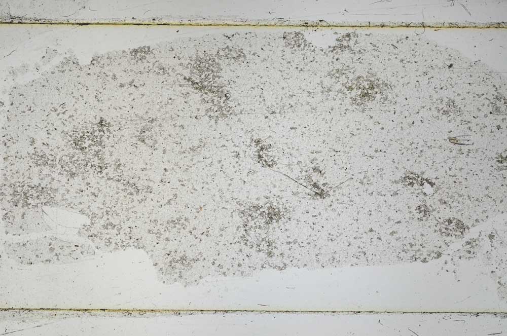 Plane Polarized, S53161