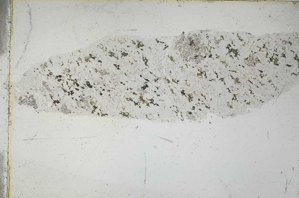 Plane Polarized, S53164