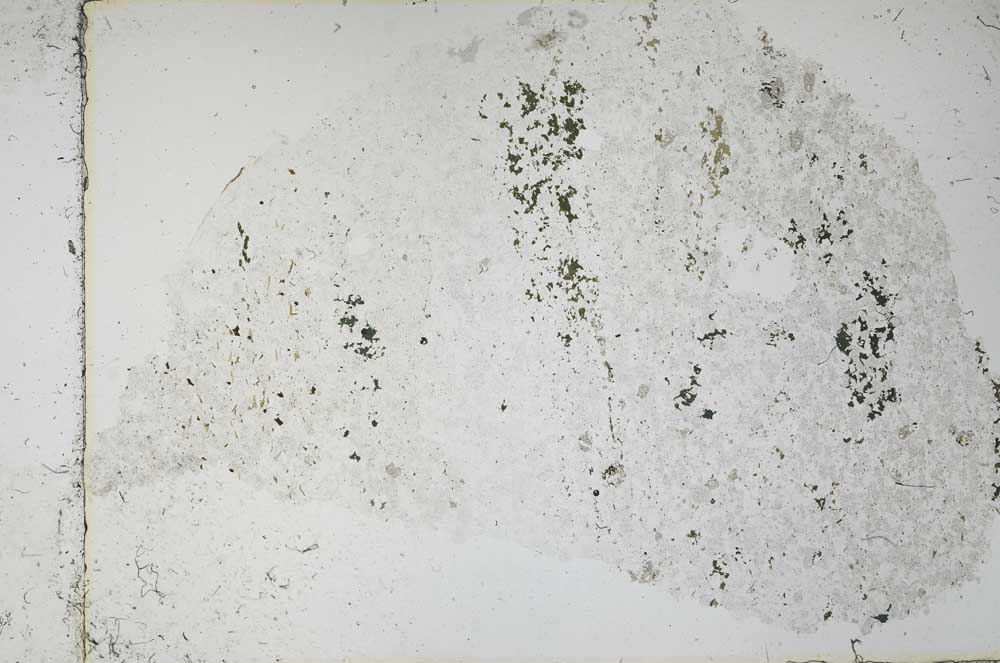 Plane Polarized, S53167