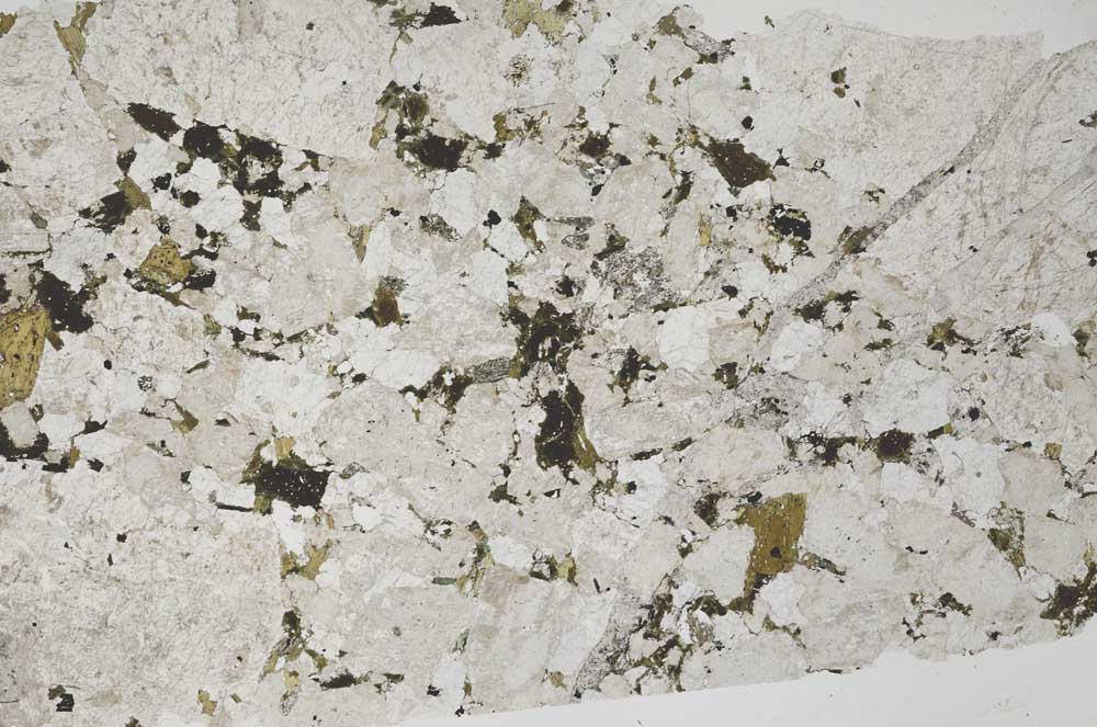 Plane Polarized, S53173