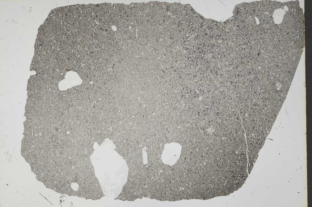 Plane Polarized, S53198