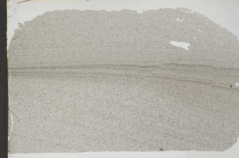 Plane Polarized, S53232