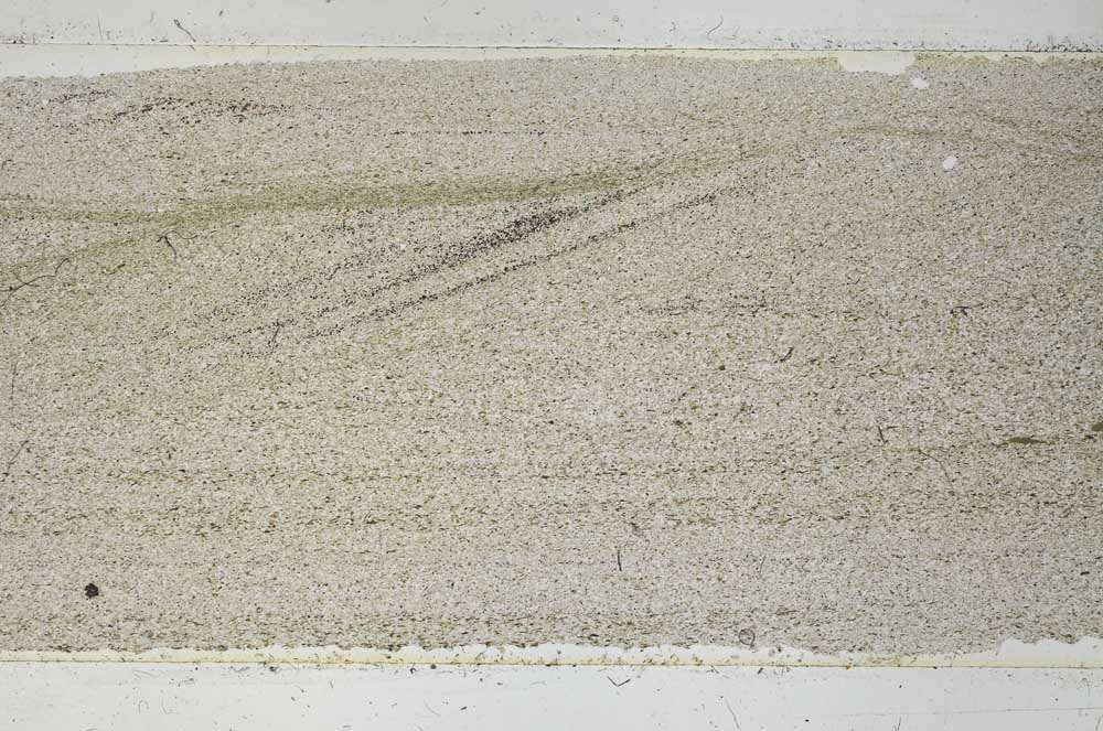 Plane Polarized, S53233