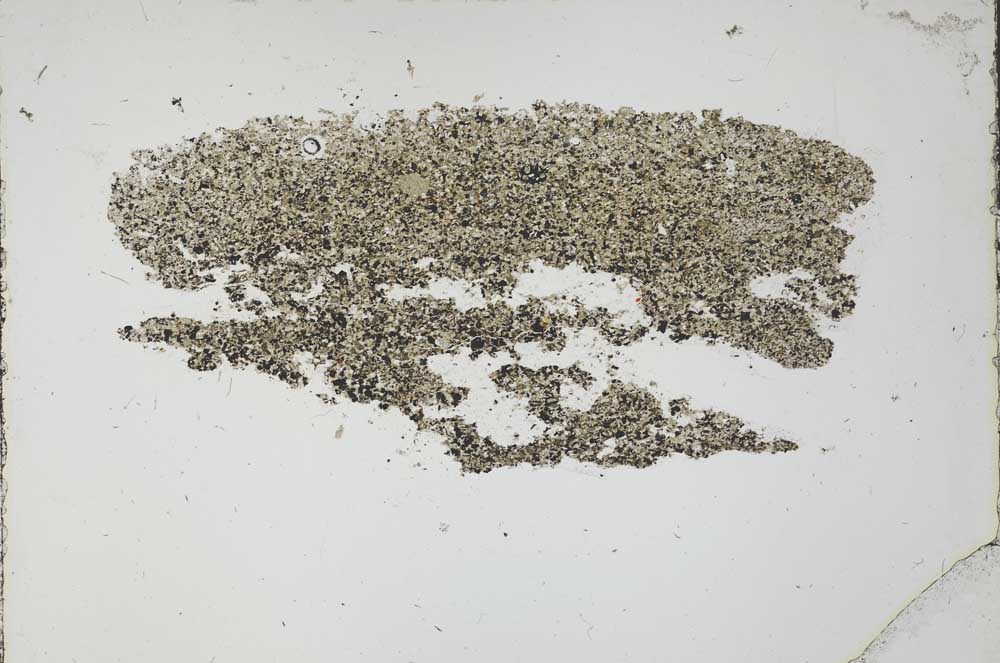 Plane Polarized, S53234